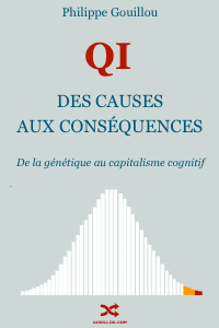 QI : Des Causes aux Conséquences - Philippe Gouillou